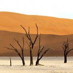 Sossusvlei Namibia