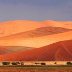 dune del deserto del Namib