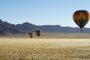Self Drive 7 Ballooning1