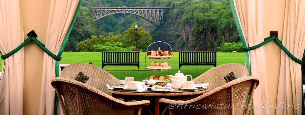 Victoria falls view