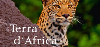 Copertina Libro Terra D'Africa