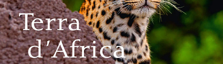 Copertina Libro Terra D'Africa