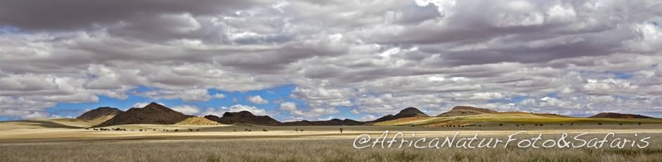 la magia della pioggia nel deserto africano