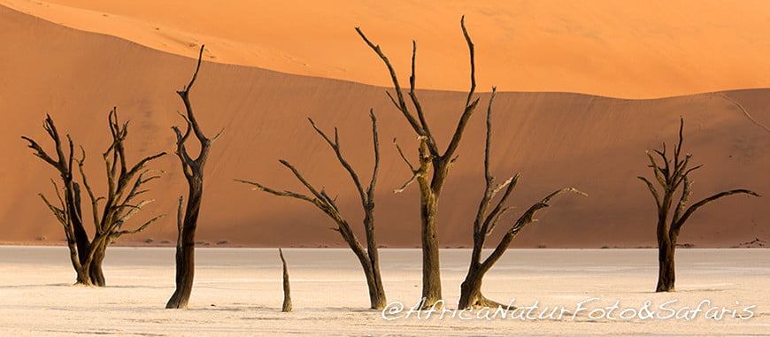 Deadvlei Namibia