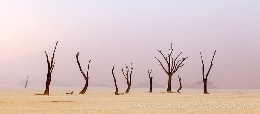 Deadvlei 3