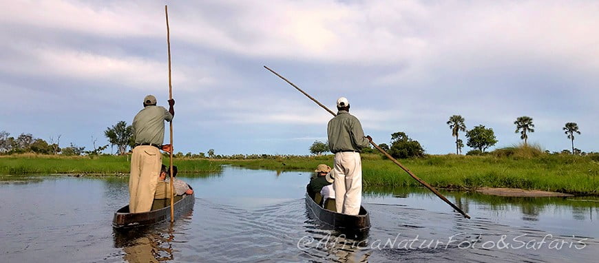 Mokoro sullOkavango