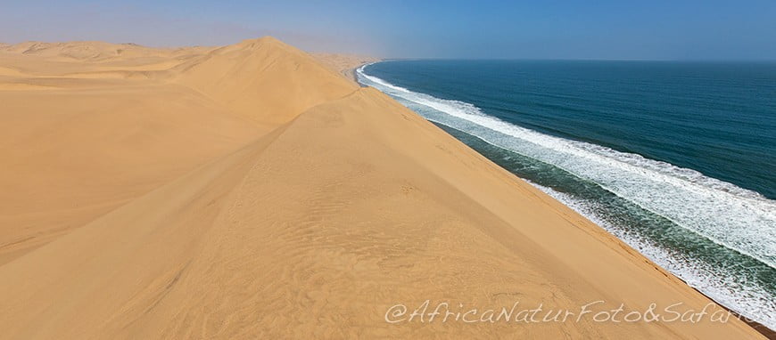 Skeleton Coast 1