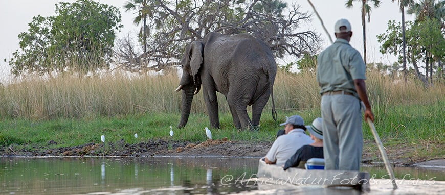 Safari in mokoro