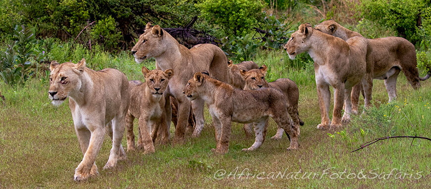 Gruppo famigliare 2