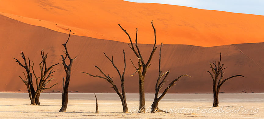 Deadvlei Namibia