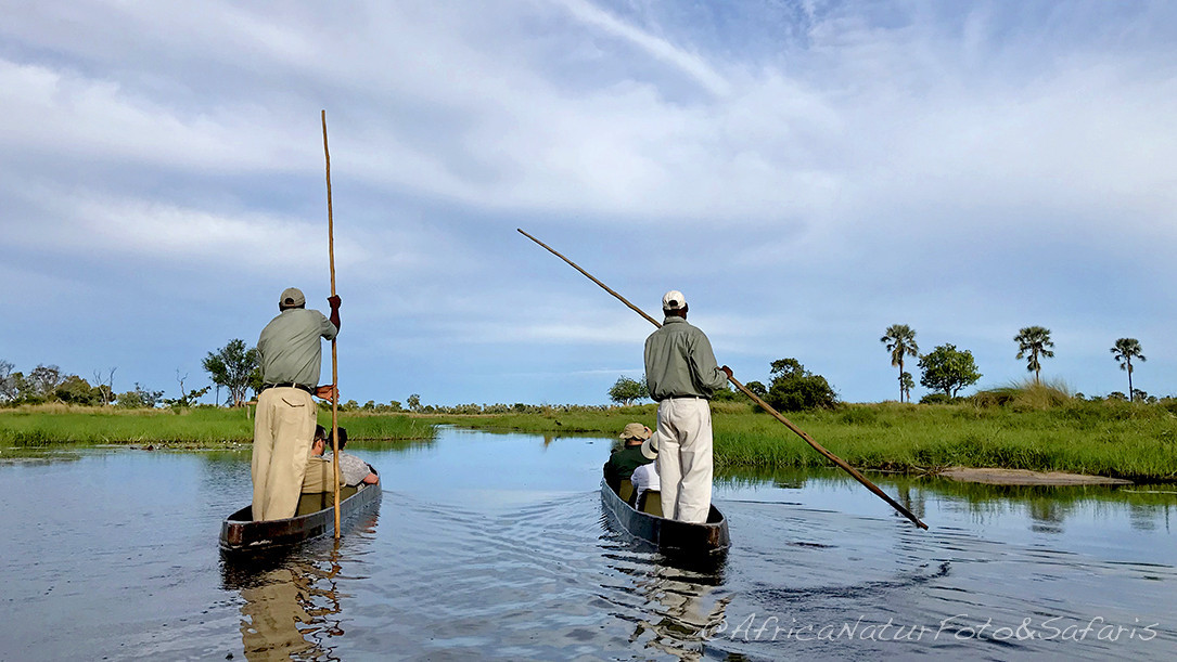 Delta Okavango 5 1