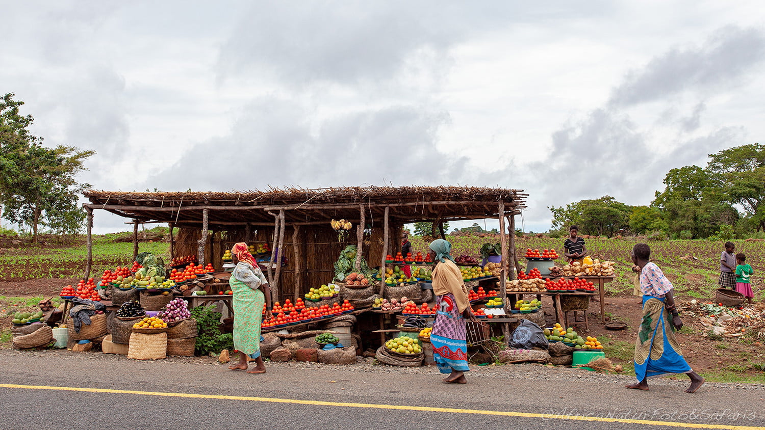 Mercatino della frutta e verdura 6