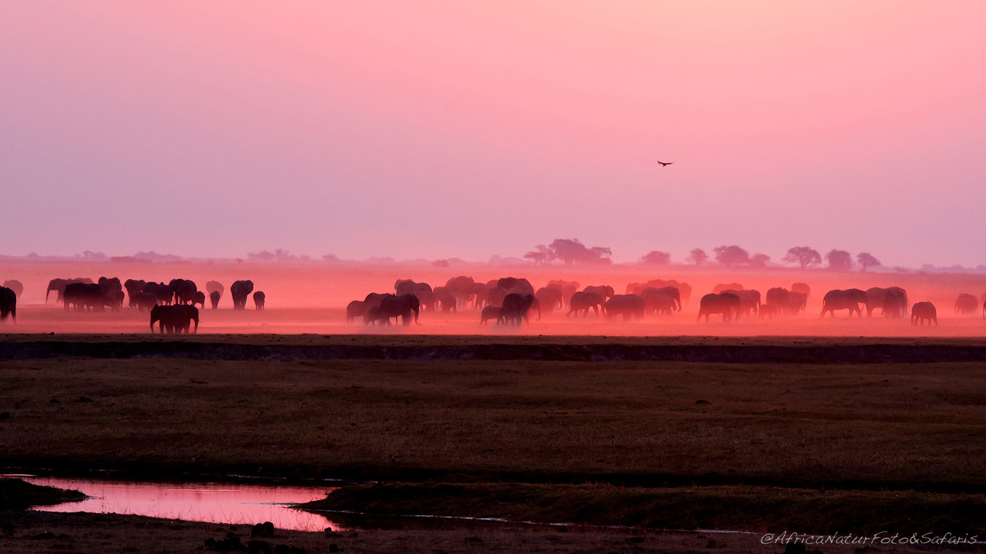 Parco Chobe 1 1