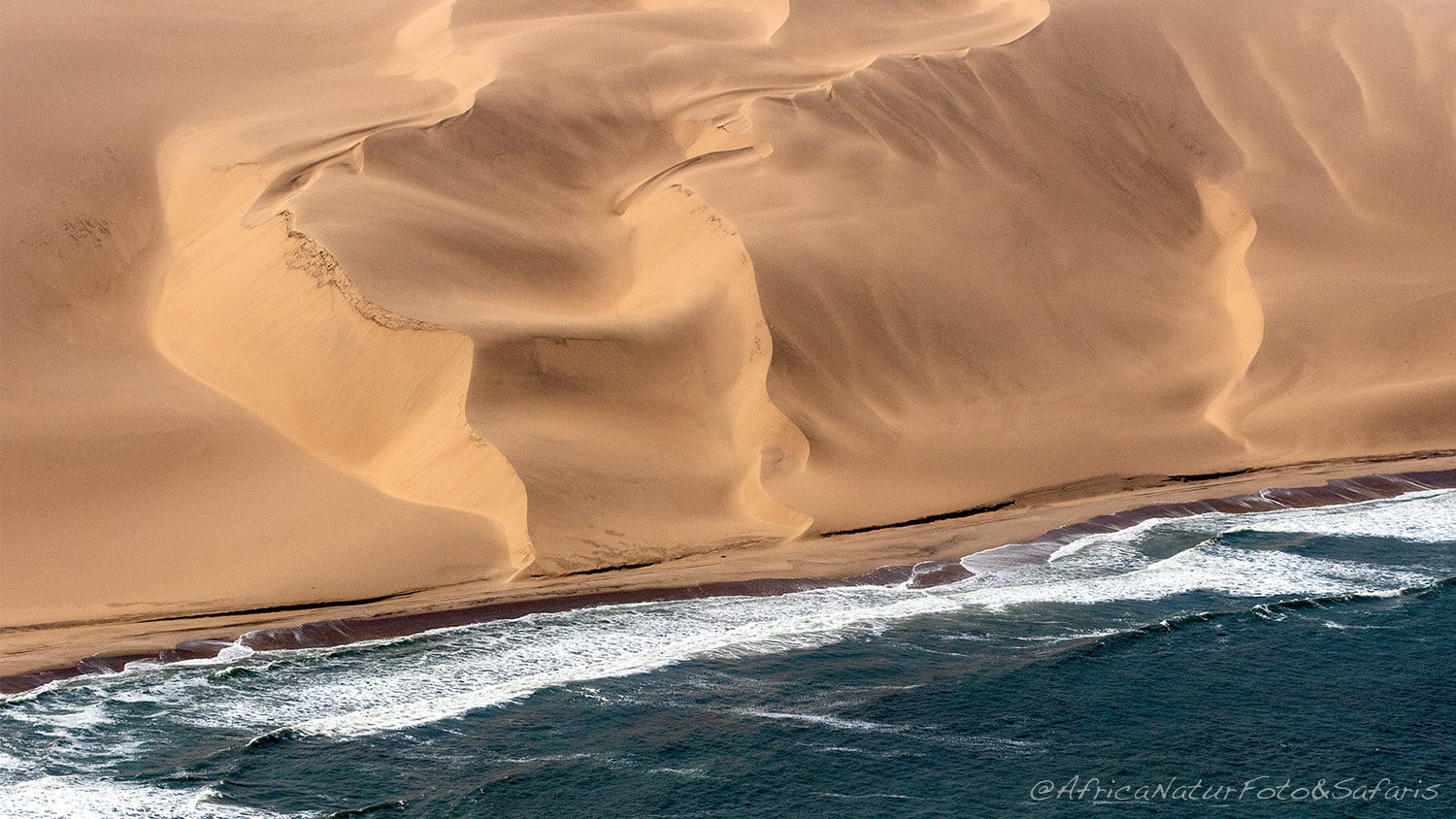 Skeleton Coast 7 1