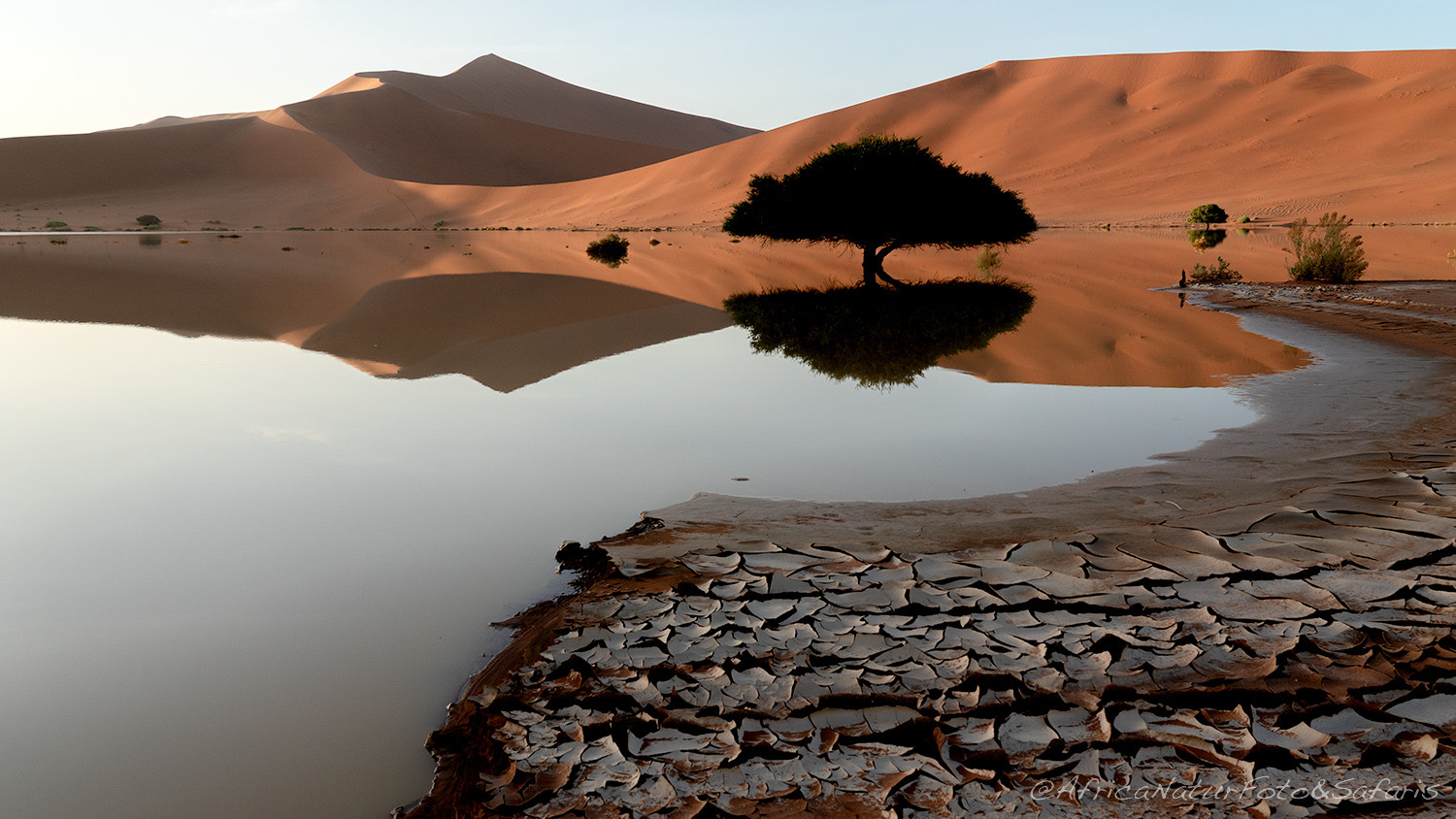 Sossusvlei with water
