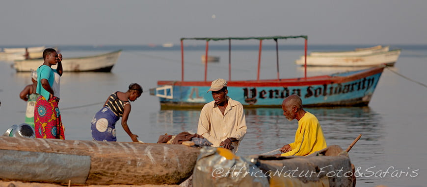 Cape Maclear Pescatori