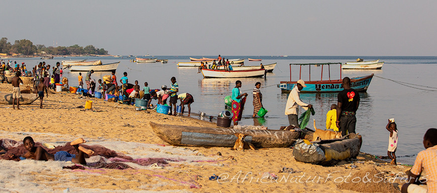 Lago Malawi Cape Maclear