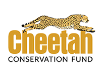 Cheetah Conservation Fund